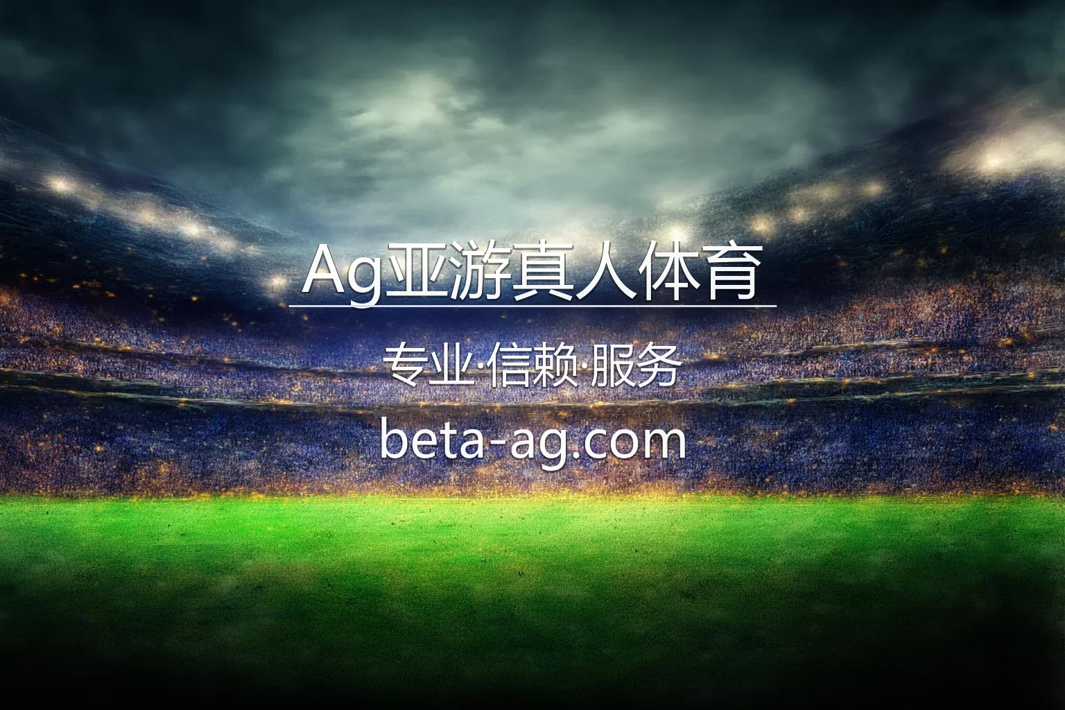 Ag亚游真人体育官方平台展示图