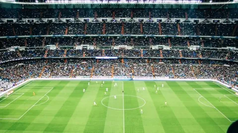 “城乡体育盛宴：折射城市教育创新观”