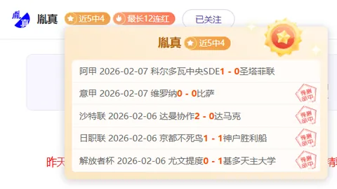 2025匹克球明星赛：阿加西、格拉芙领航，圆满落幕